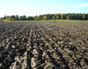 Белорусских сельхозпроизводителей пригласили развивать АПК Смоленской области