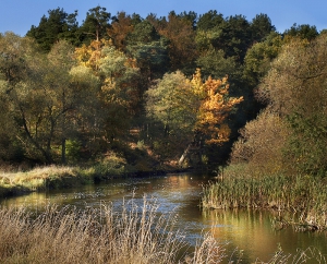 Запоздалое бабье лето ожидается в Беларуси на выходных