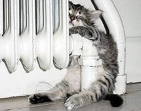 Дифоплату услуг теплоснабжения планируется ввести в Беларуси