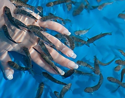 В Витебске осваивают фиштерапию