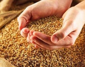 Для вас – госзаказ