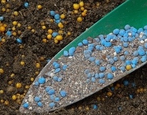 Куптель обсудил в Минсельхозе Эфиопии возможность поставок белорусских калийных удобрений