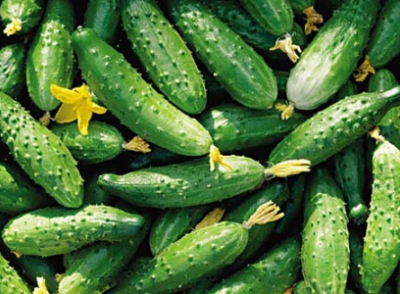 В Шклове поклоняются огурцам 