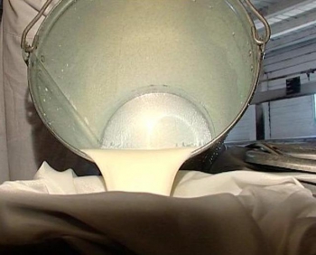 Куда движутся технологии производства молока?