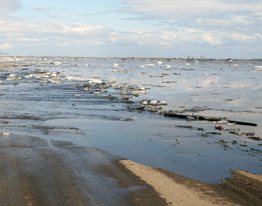 Вода в Припяти поднялась в Мозырском районе до опасного уровня