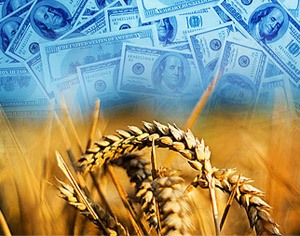 Президент поручил проверить прозрачность формирования цены при закупках продукции для нужд сельского хозяйства