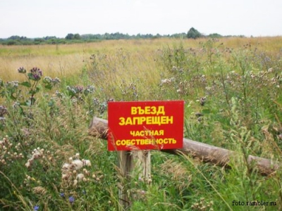 Экс-председатель Ветковского райисполкома незаконно завладел землей