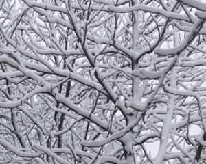 После 8 марта в Беларуси ожидаются ночные морозы до 20 градусов