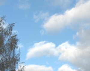 Погода способствовала хорошему формированию сельхозкультур