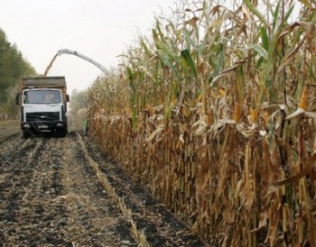 Сельхозпредприятия в 2016 году получат кредиты от Белагропромбанка под 3% годовых 