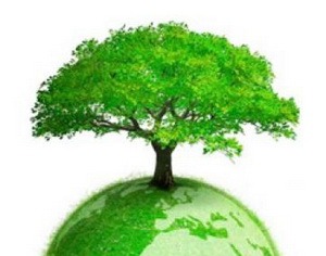 Минприроды Беларуси приступило к реализации проектов международной техпомощи