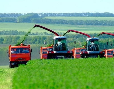 Беларусь готова поделиться с Грузией опытом ведения сельского хозяйства