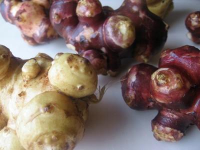 Белорусские ученые готовы выполнить российскую часть союзной программы "Картофель и топинамбур"