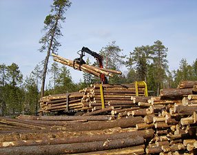 Минлесхоз увеличили инвестиции в основной капитал до Br538 млрд