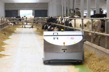 Первая в СНГ роботизированная молочная ферма работает в Беларуси