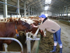 В АПК Минщины востребованы ветврачи, зоотехники, агрономы, энергетики