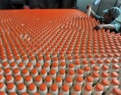 Белорусско-вьетнамское молокопереребатывающее производство может быть создано в Ханое