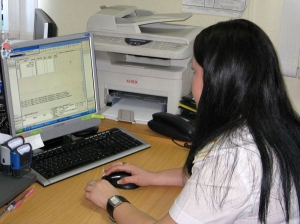 Таможенные службы Беларуси переходят на электронную регистрацию деклараций