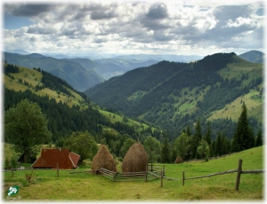 Минприроды и Минспорта Беларуси планируют сделать 2013 год годом «зеленого» туризма 