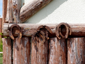 Житель Зельвенского района коллекционирует лошадиные подковы