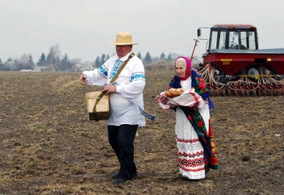 В Беларуси практически завершен сев ранних яровых зерновых и зернобобовых