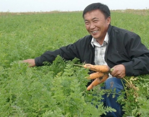 Кыргызстан: Правительство освободило сельхозпереработчиков от налога на прибыль