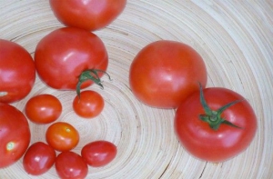 Разговор про перезрелый помидор