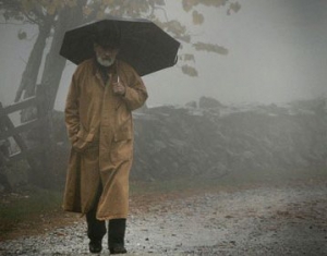 Сильные дожди и грозы прогнозируются в Беларуси 3 октября