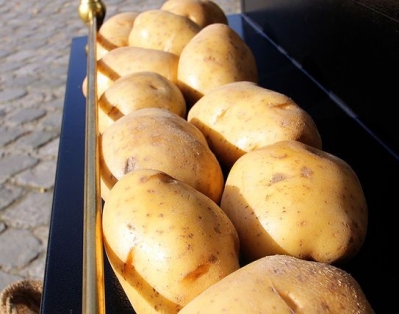 Беларусь с 10 июля вводит временные ограничения на ввоз картофеля из Украины