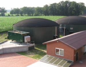 Первый биогаз на самой мощной в Беларуси установке получат в ноябре