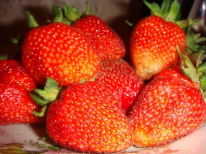 На Лунинетчине идет заготовка ягод и фруктов 