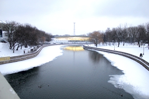 Министерство просит не подкармливать птиц, чтобы не оставались замерзать