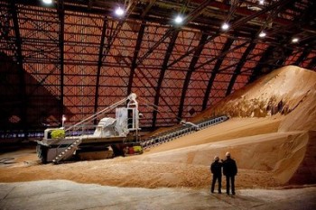 219 долларов за тонну: Беларусь и Китай договорились о поставках калия 