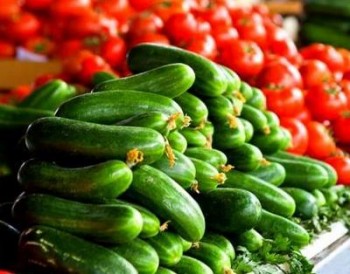 В Бресте сезон сельскохозяйственных ярмарок открывается 26 сентября