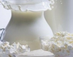 Вступление России в ВТО диктует необходимость диверсификации белорусского экспорта