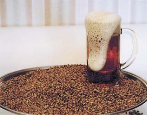 Госзаказ по пивоваренному ячменю выполнен