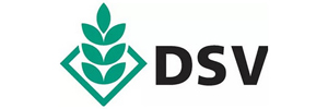 DSV