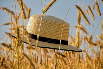 Белорусские аграрии намолотили более 3,5 млн тонн зерна