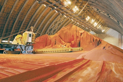 Беларусь в феврале нарастила производство калия