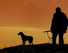 Белорусских охотников обяжут сдавать экзамен по стрельбе