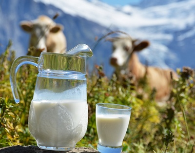 Беларусь поддержала идею российского Минсельхоза о маркировке молокосодержащих продуктов