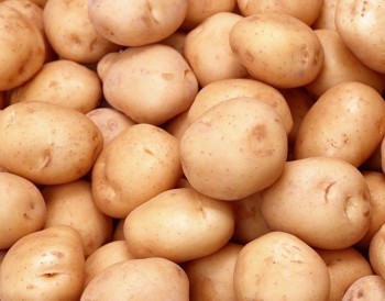 Экспорт белорусского картофеля за 7 месяцев вырос более чем в 3,1 раза