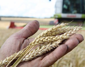 Преодолели двухмиллионный рубеж 