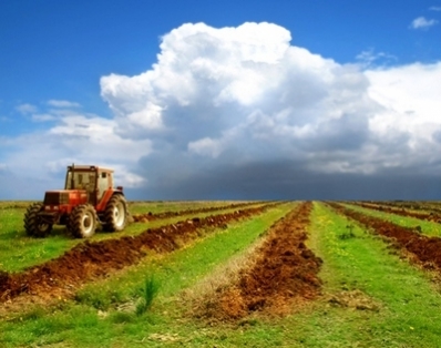 Сельхозпредприятиям Беларуси дадут бюджетные кредиты для погашения задолженности перед ОАО "Гомсельмаш"