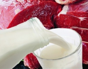 Самый молочный район Беларуси – Слуцкий, самый мясной – Могилевский