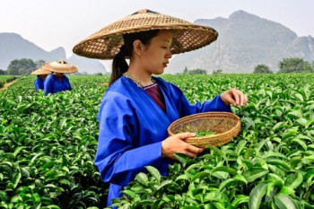Китай вложит в сельское хозяйство $450 млрд