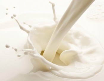 Белорусские молочники готовы к ужесточению стандартов на молоко