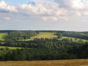 Налибокам присвоен статус заказника