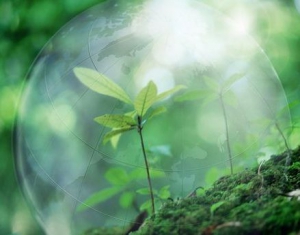 Международная экологическая конференция пройдет в Гродно