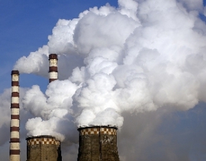 Доля местных видов топлива за январь-ноябрь составила 25%